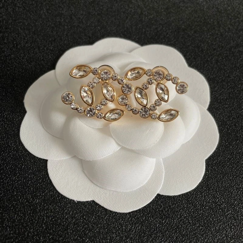 Chanel Earrings DailyWear 221613