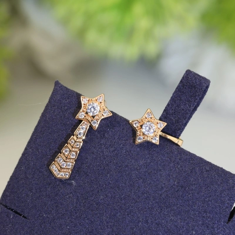 AllSeason Chanel Earrings 220100
