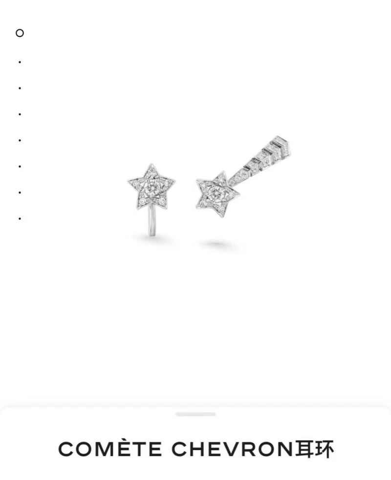 AllSeason Chanel Earrings 220100