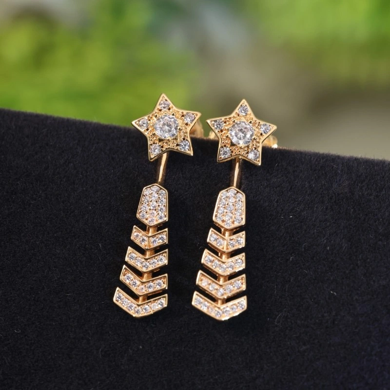 Chanel Earrings DailyWear 220103