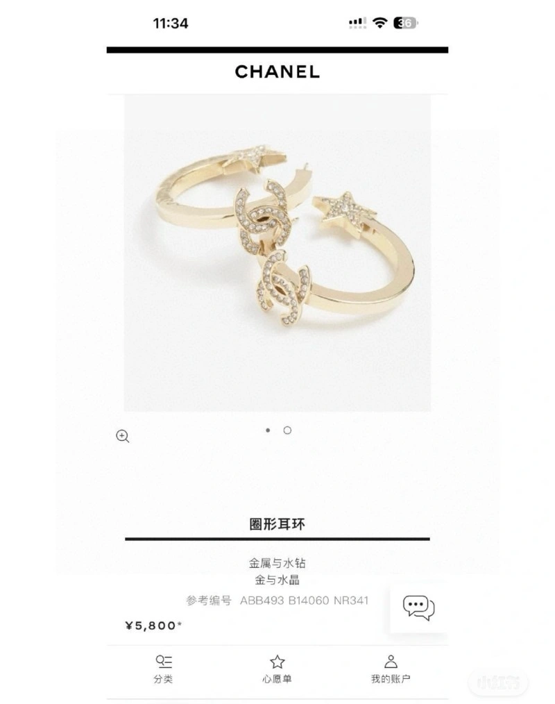 MultiPurpose Chanel Earrings 219687