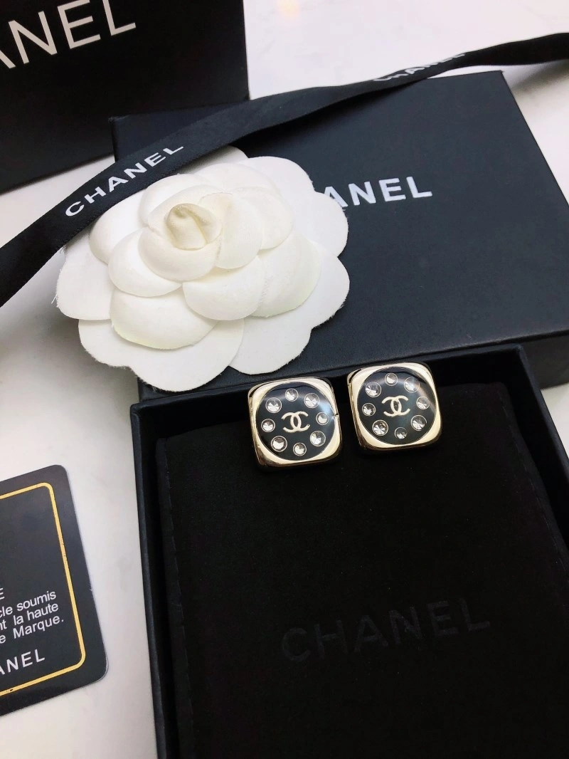 Popular Chanel Earrings 219641