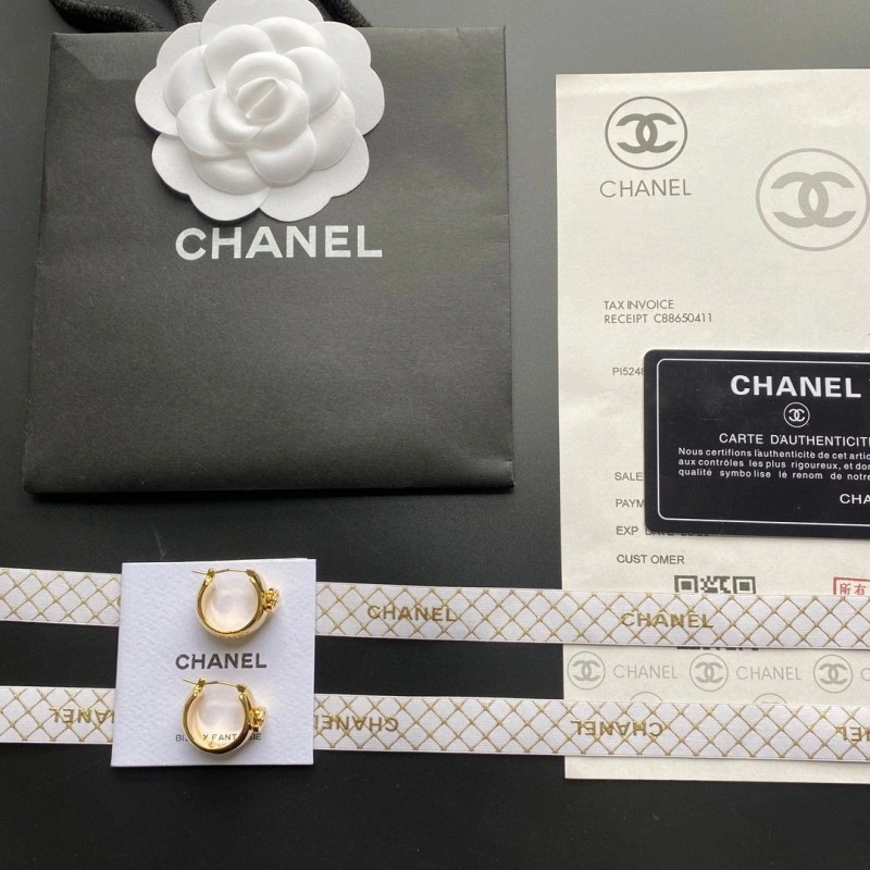 Effortless Chanel Earrings 219564