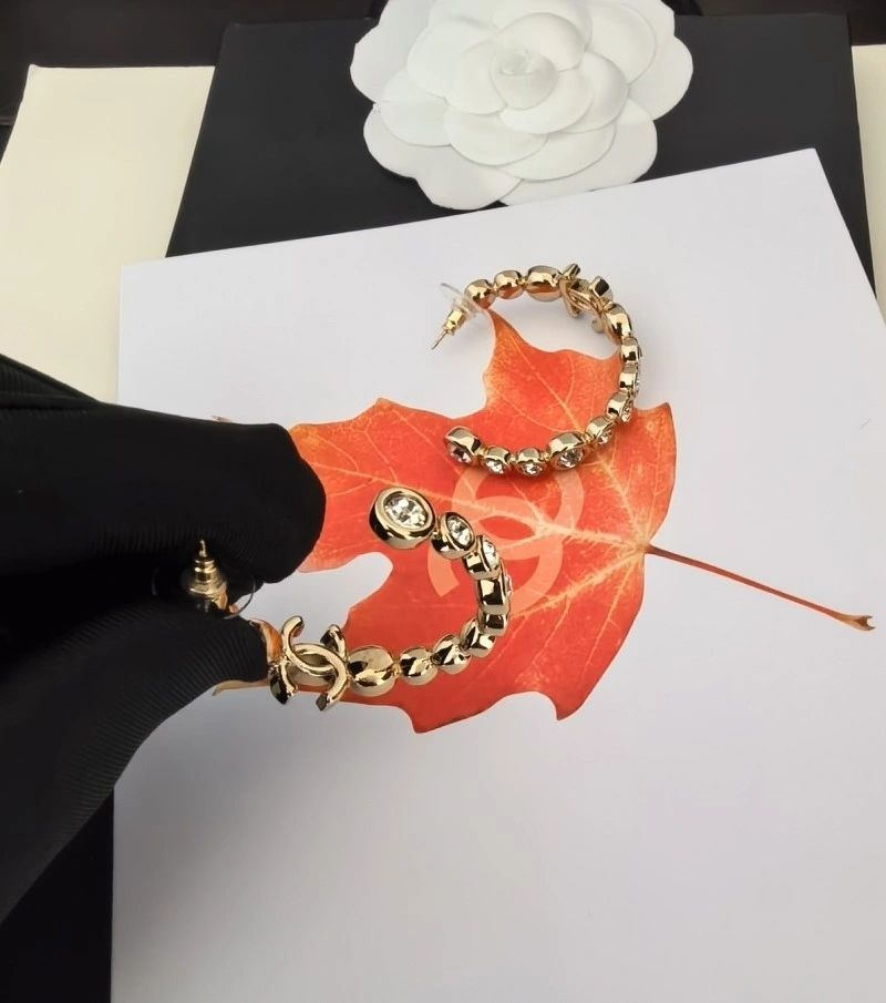 Chanel Earrings DailyWear 219308