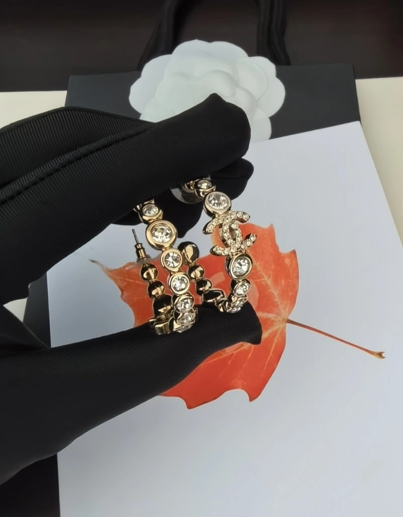 Chanel Earrings DailyWear 219308