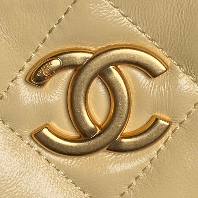 Chanel Hobo Bags WaterResistant 53133