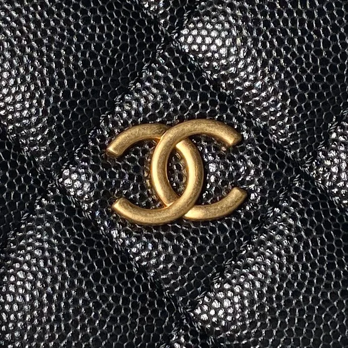 Versatile Chanel Hobo Bags 54971
