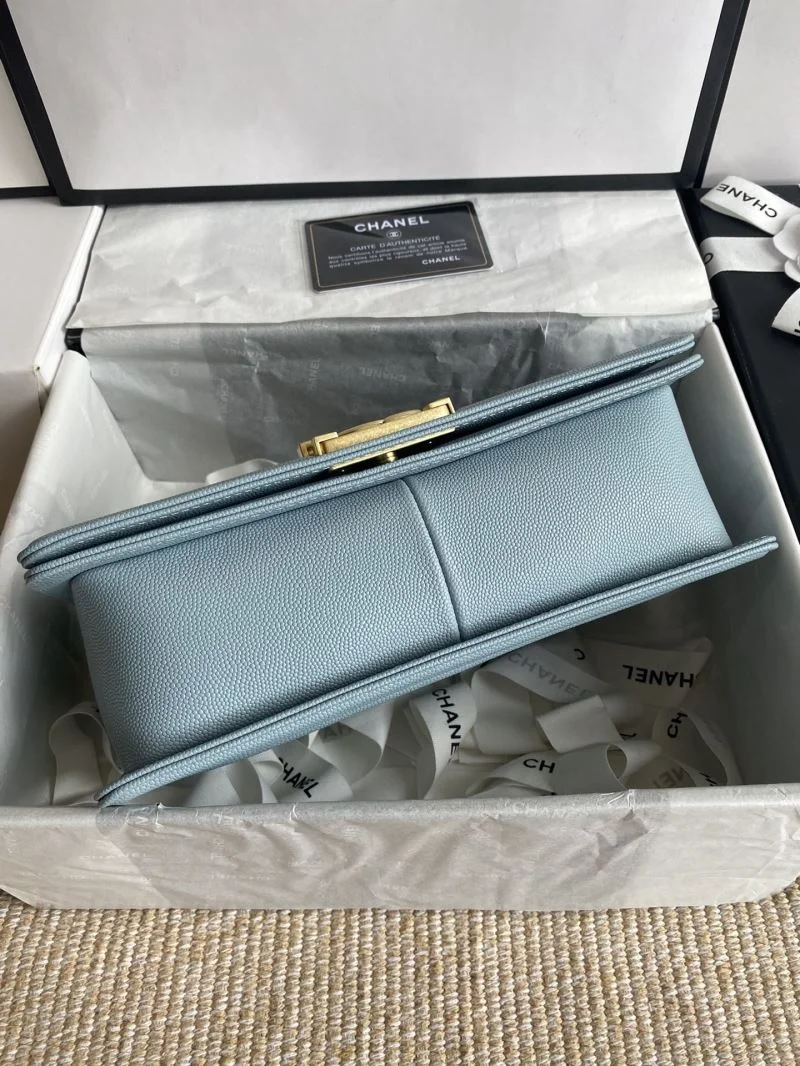 Chanel Leboy Series Bags EyeCatching 54913