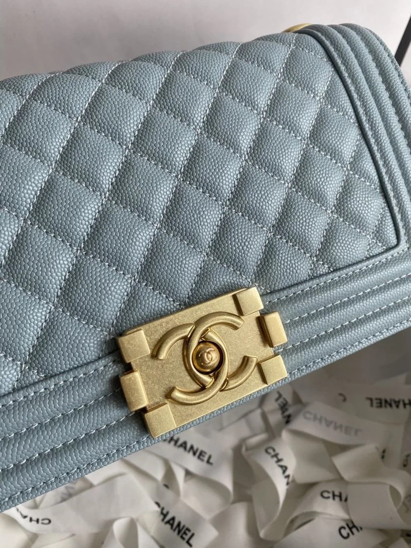 Chanel Leboy Series Bags EyeCatching 54913