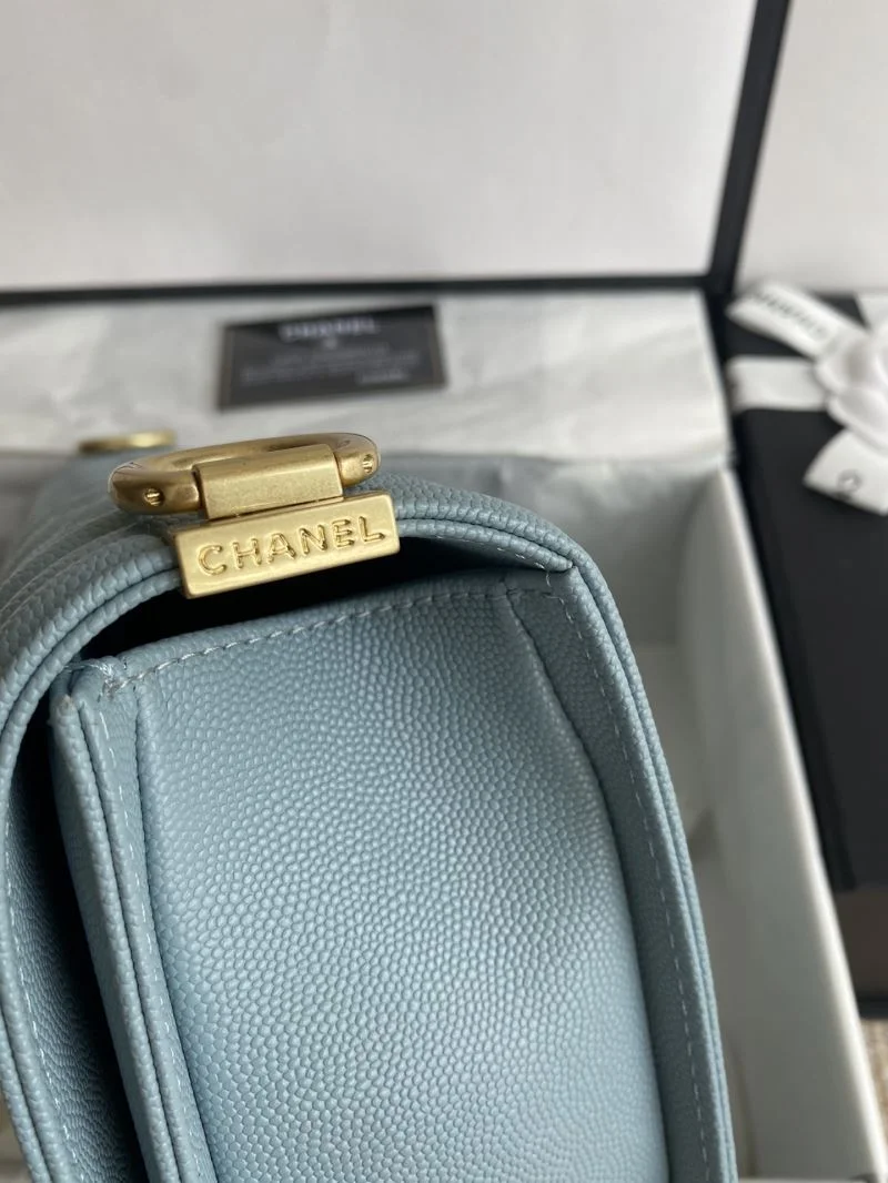 Chanel Leboy Series Bags EyeCatching 54913