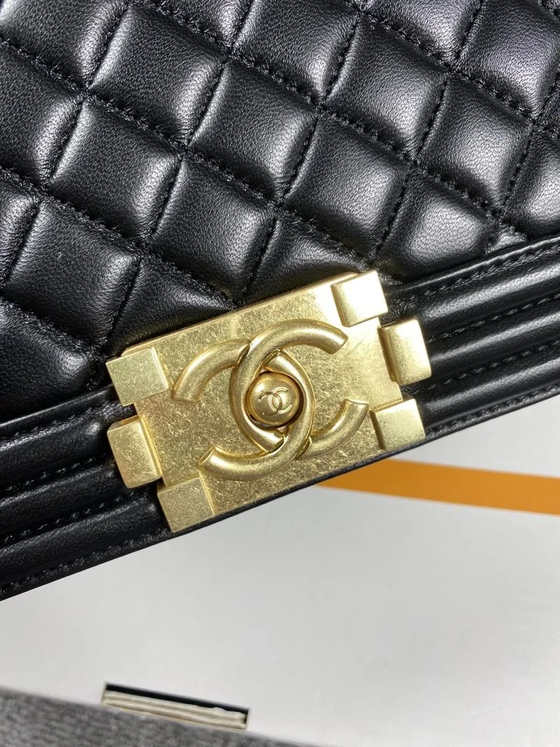 Chanel Leboy Series Bags Classic 54902