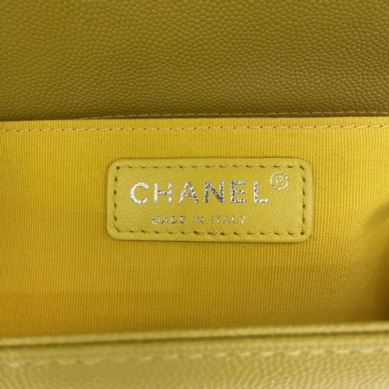 Chanel Leboy Series Bags WrinkleFree 54895