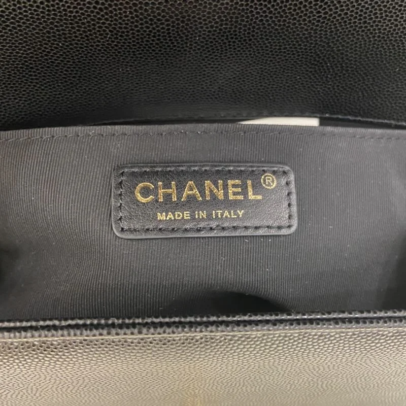 WrinkleFree Chanel Leboy Series Bags 54852