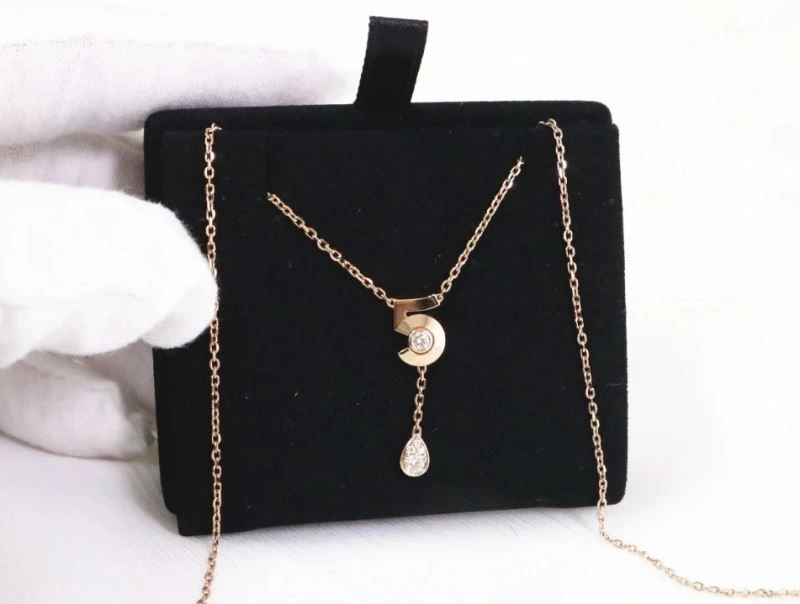 WellDesigned Chanel Necklaces 232011