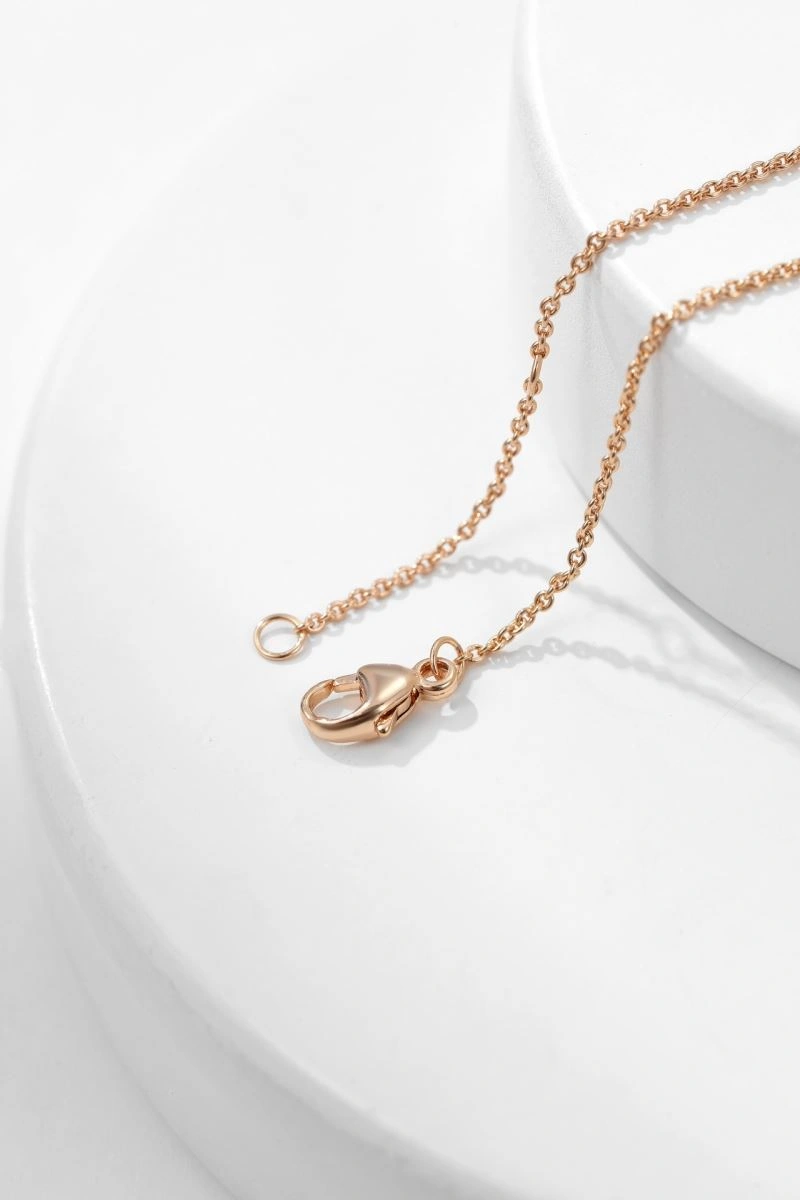 Chanel Necklaces Cozy 231448