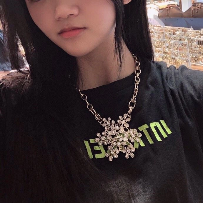 Chanel Necklaces Premium 222143