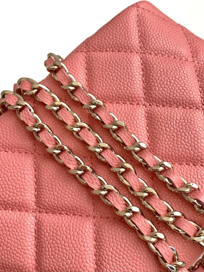 Effortless Chanel Other Stachel Bags 53863