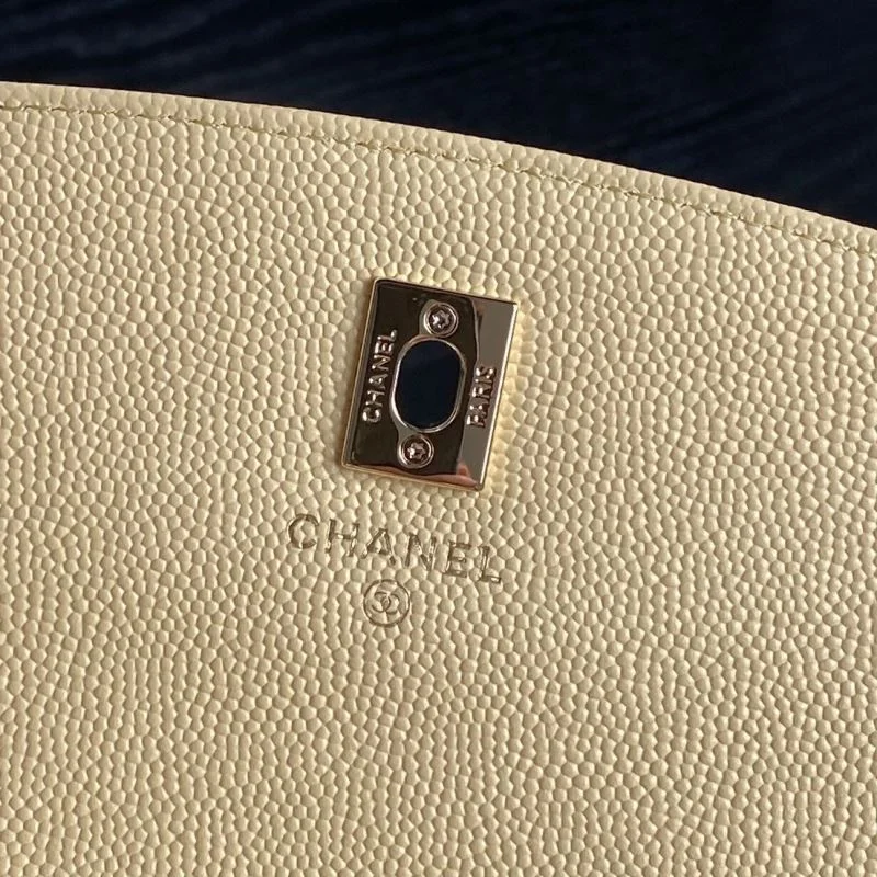 Elegant Chanel Other Stachel Bags 53849