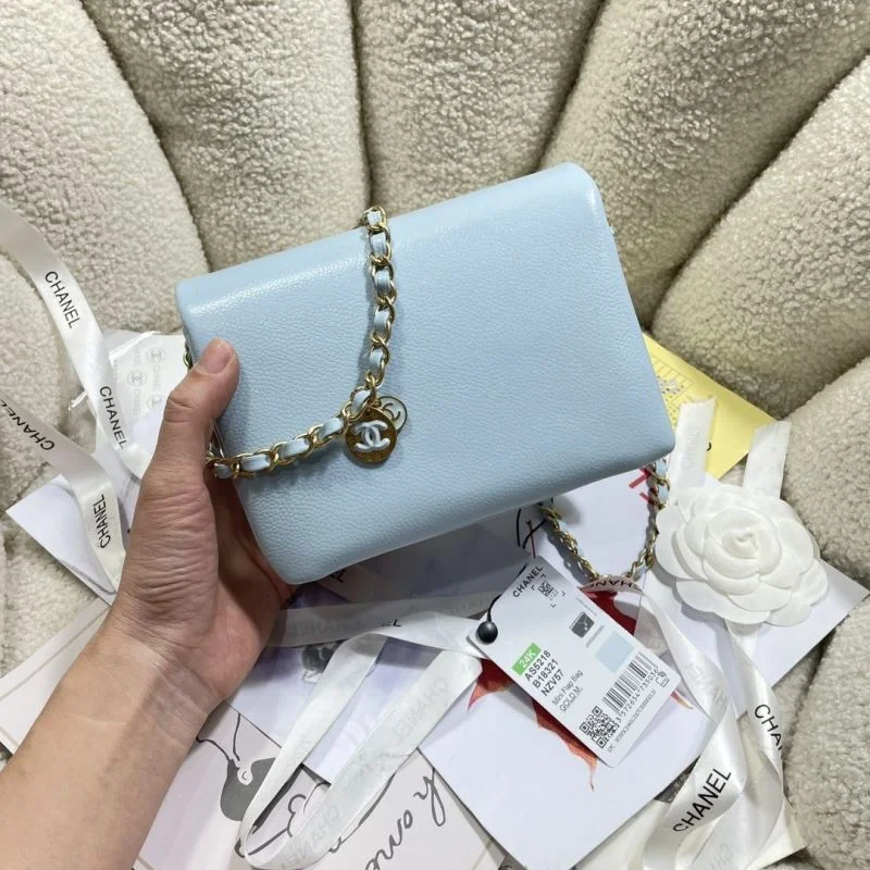 Chanel Other Stachel Bags Cozy 53109