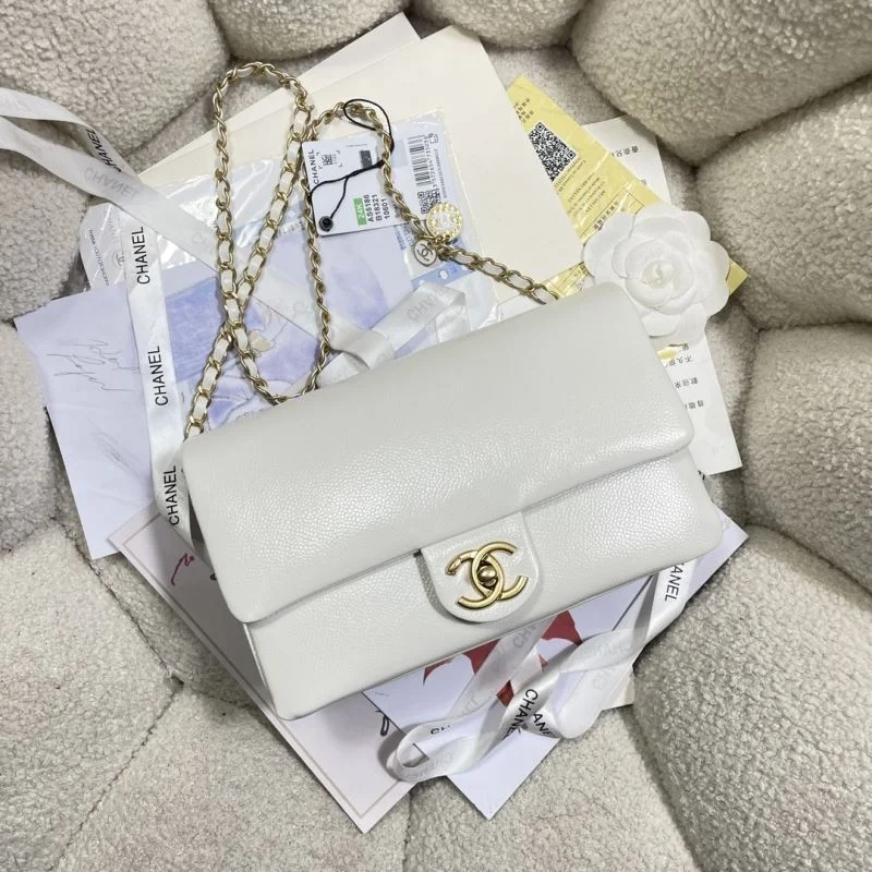 Contemporary Chanel Other Stachel Bags 53103