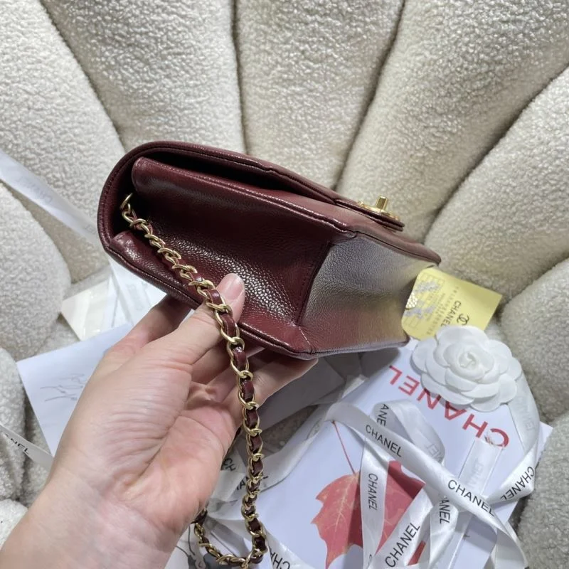 Stretchable Chanel Other Stachel Bags 53102