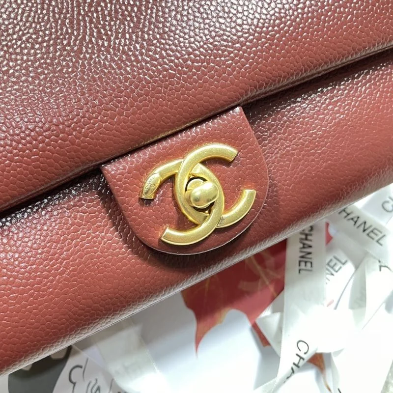 Stretchable Chanel Other Stachel Bags 53102