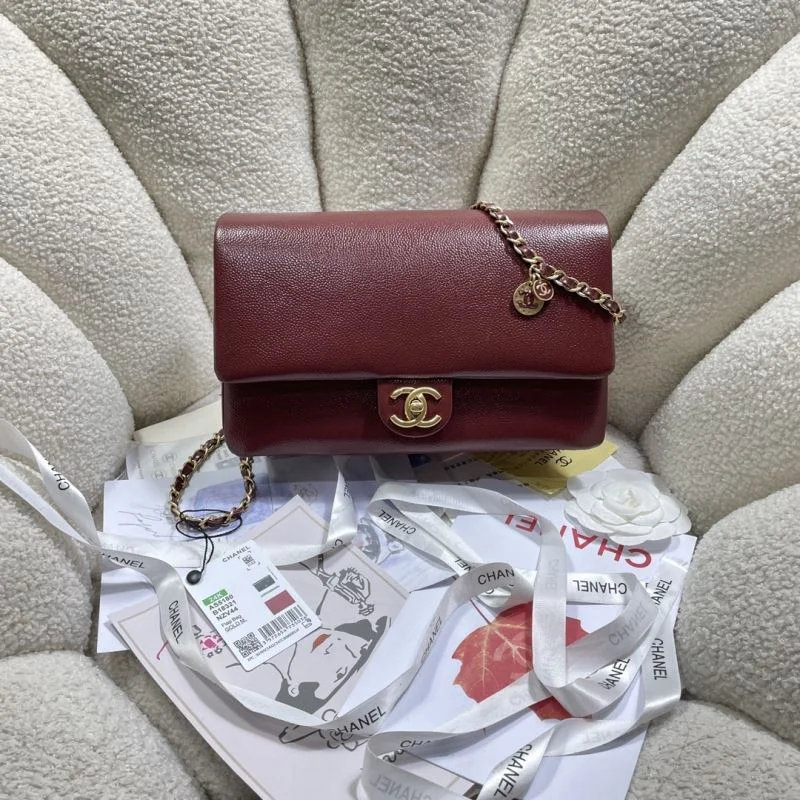 Flexible Chanel Other Stachel Bags 53163