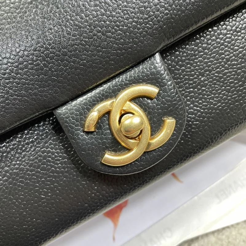 Classic Chanel Other Stachel Bags 53095