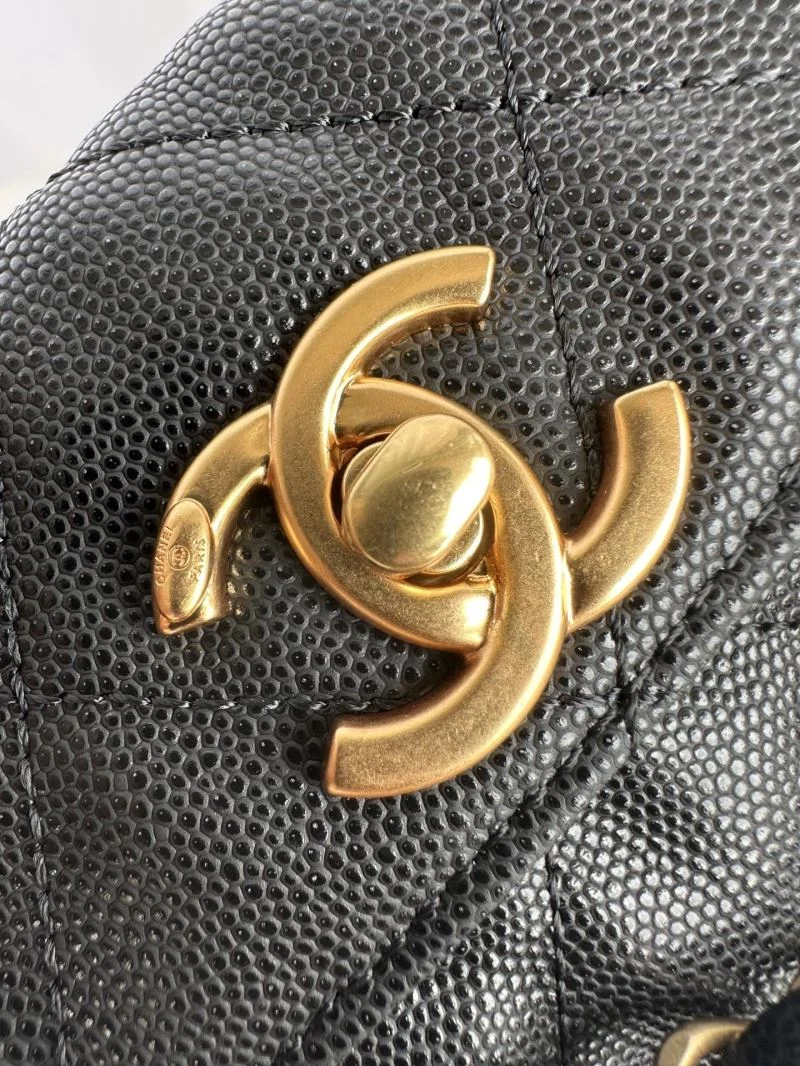 MultiPurpose Chanel Other Stachel Bags 53058