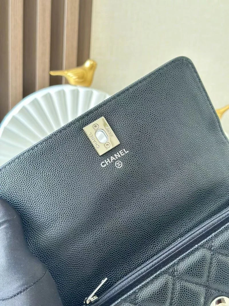 FreshLook Chanel Other Stachel Bags 52961