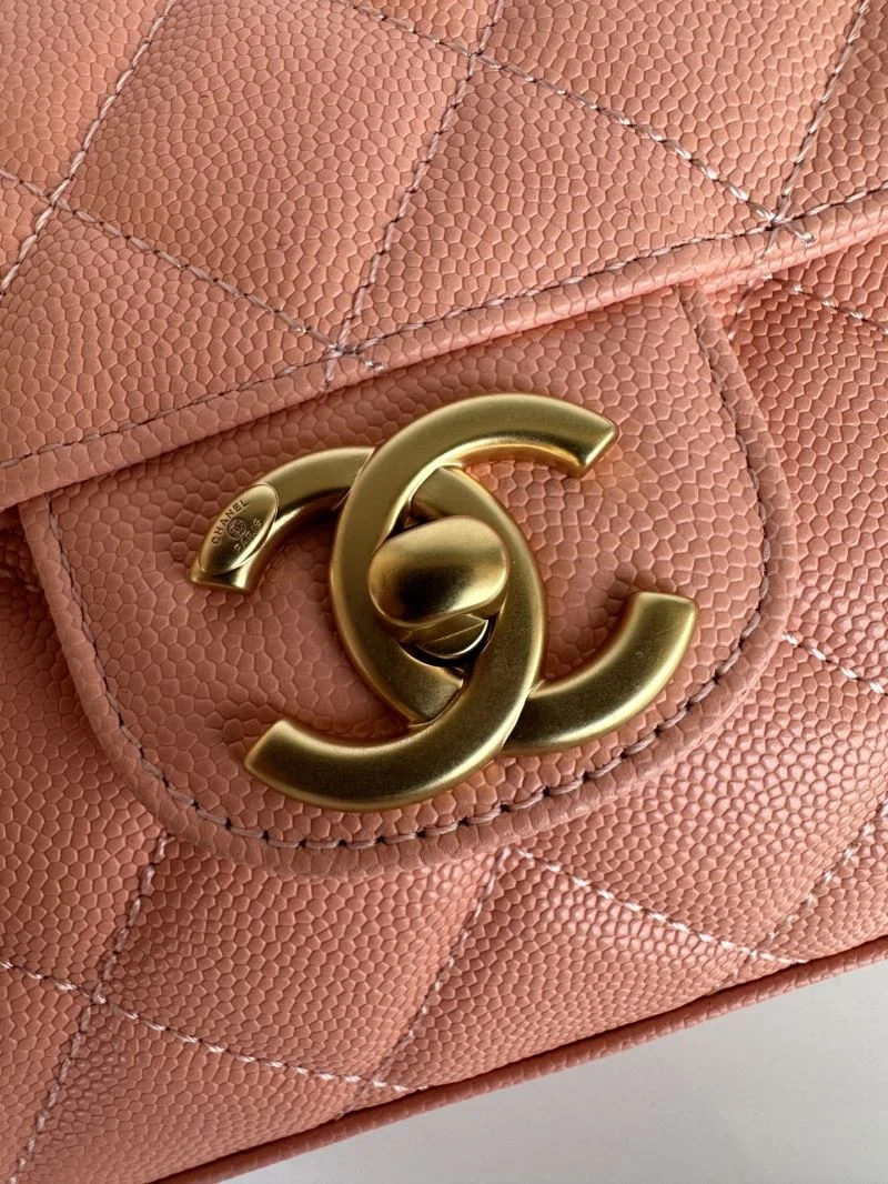 Chanel Other Stachel Bags TimelessDesign 52923