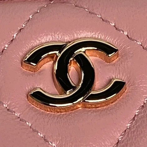 GoAnywhere Chanel Other Stachel Bags 52953