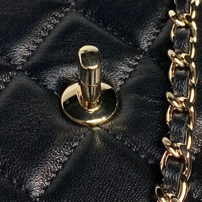 Chanel Other Stachel Bags Unique 52848