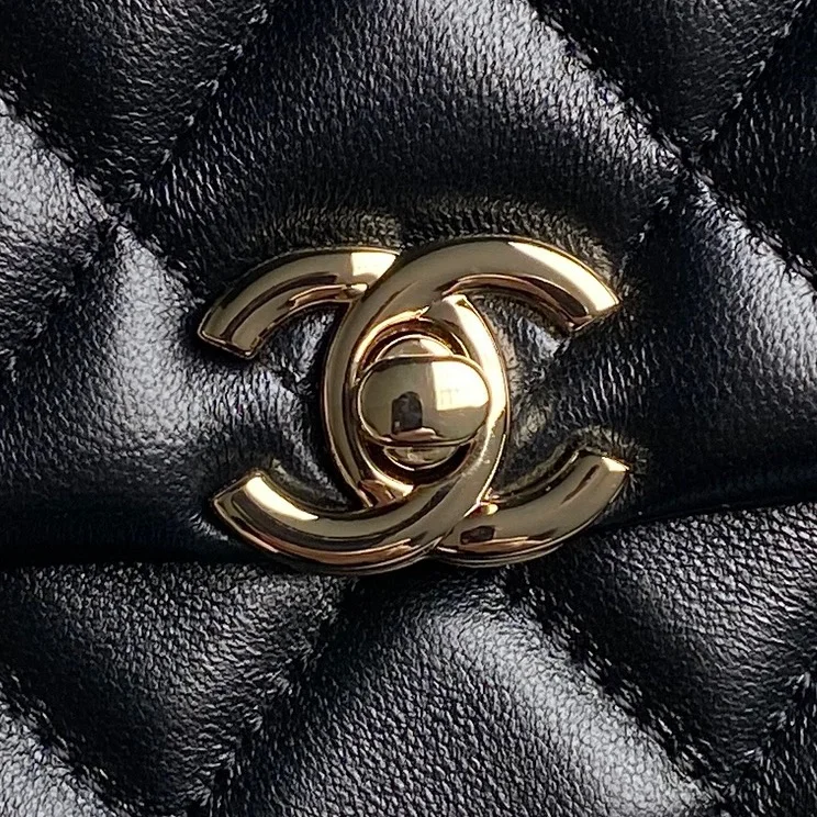 Chanel Other Stachel Bags WrinkleFree 52888