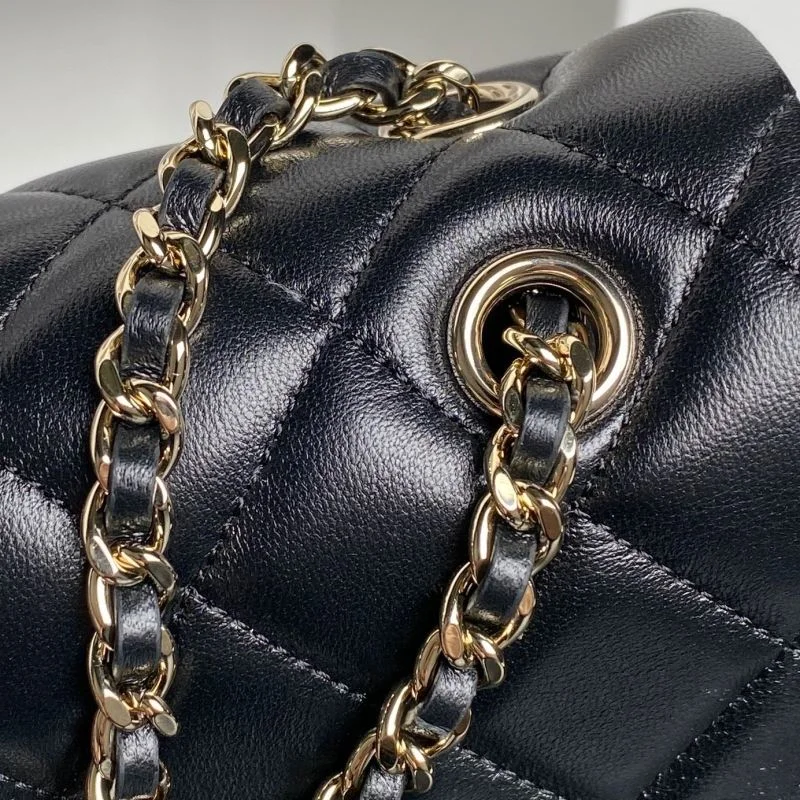 Chanel Other Stachel Bags WrinkleFree 52888
