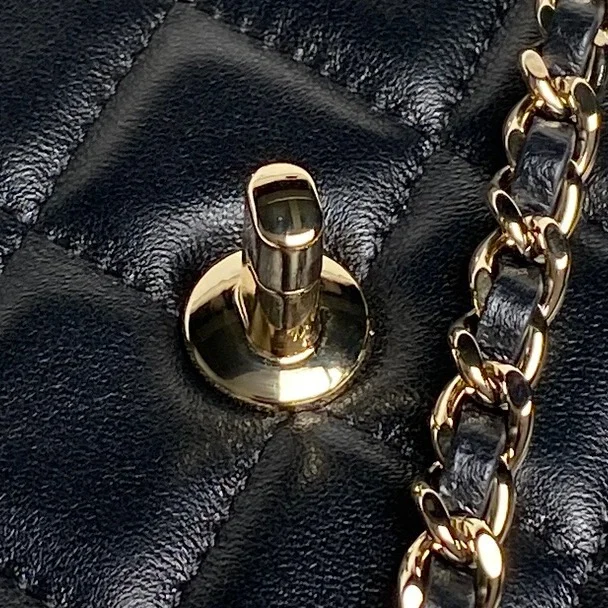 Chanel Other Stachel Bags WrinkleFree 52888