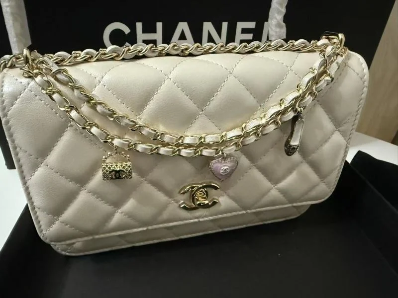 FlexibleFit Chanel Other Stachel Bags 52837