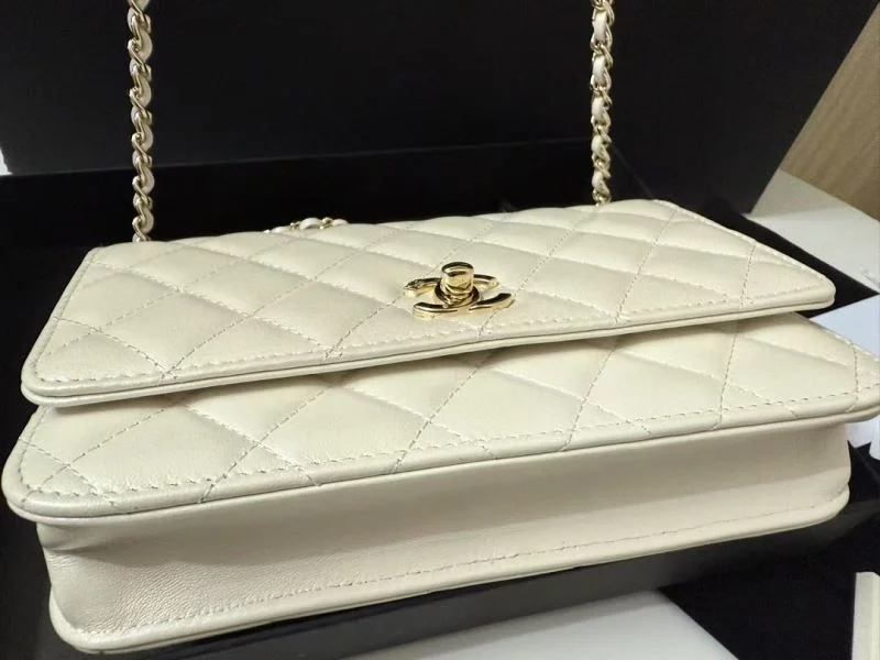 FlexibleFit Chanel Other Stachel Bags 52837