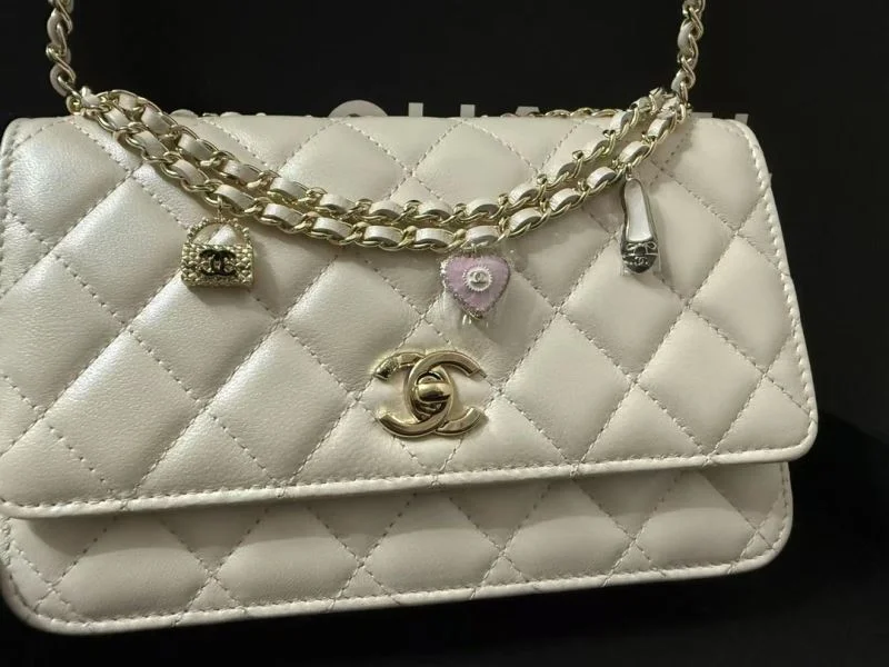 FlexibleFit Chanel Other Stachel Bags 52837