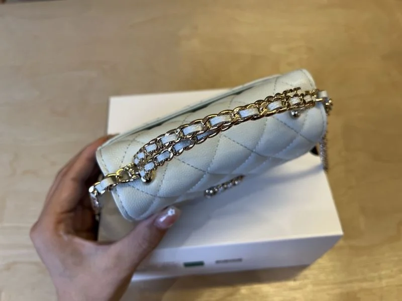 GoAnywhere Chanel Other Stachel Bags 52810