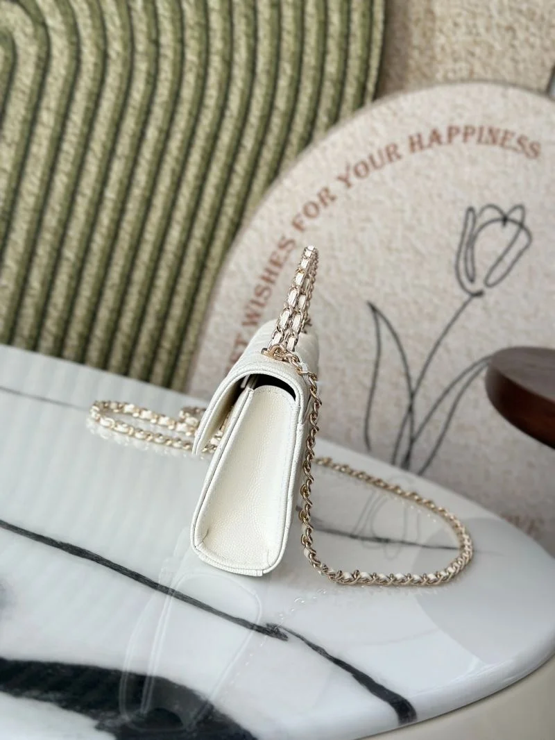 Chanel Other Stachel Bags WrinkleFree 52829