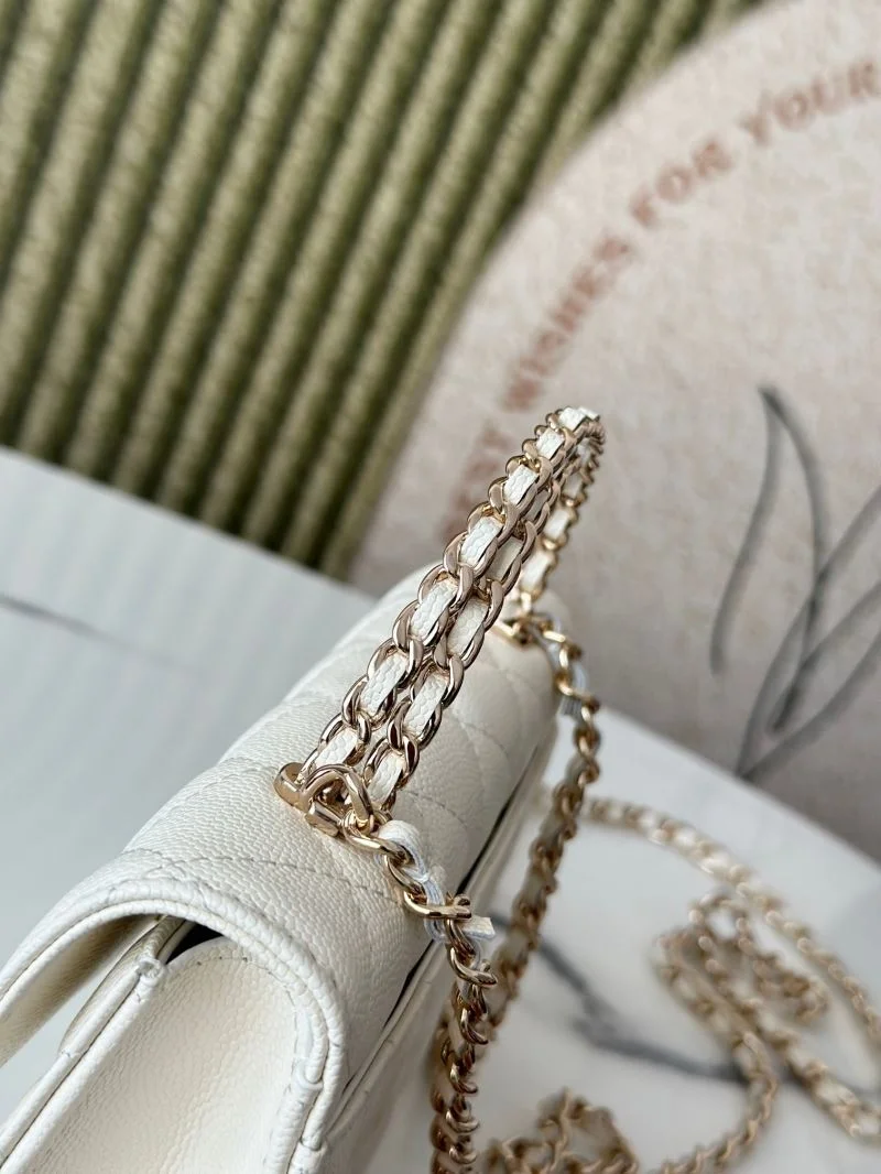Chanel Other Stachel Bags WrinkleFree 52829