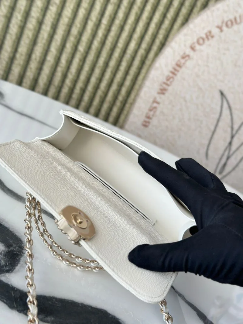 Chanel Other Stachel Bags WrinkleFree 52829
