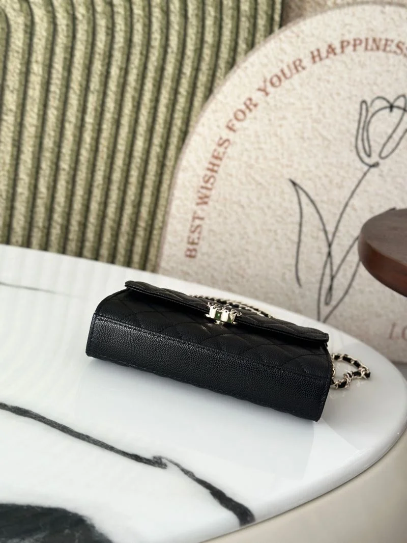 Chanel Other Stachel Bags WellDesigned 52789