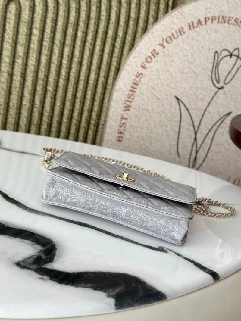 ZeroBulk Chanel Other Stachel Bags 52794