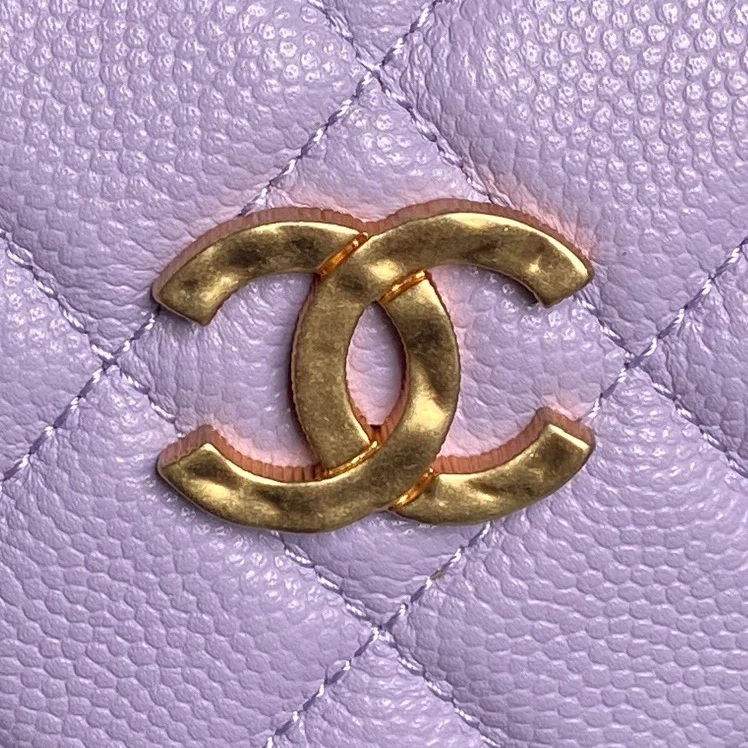 Chanel Other Stachel Bags Packable 52821