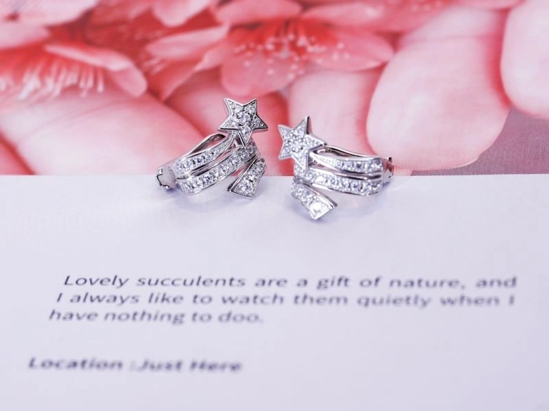 EasyCare Chanel Rings 231980