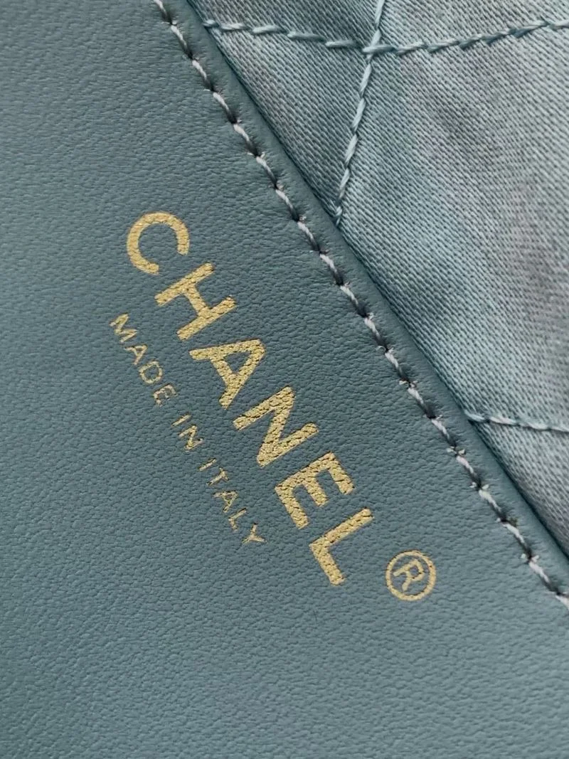 Supportive Chanel Shopping Bags 53799