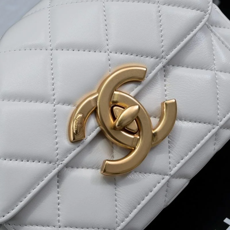 Flexible Chanel Stachel Bags 54666