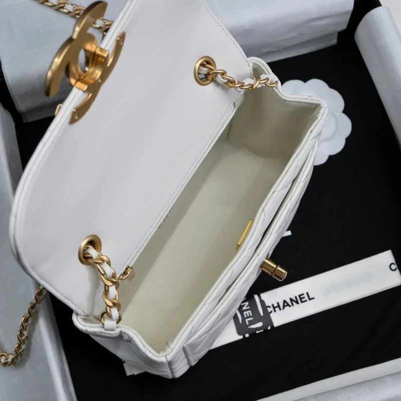 Flexible Chanel Stachel Bags 54666